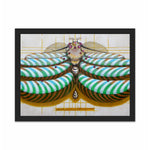 Load image into Gallery viewer, Fibonacci moth