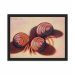 Load image into Gallery viewer, Hermit crabs on the shore