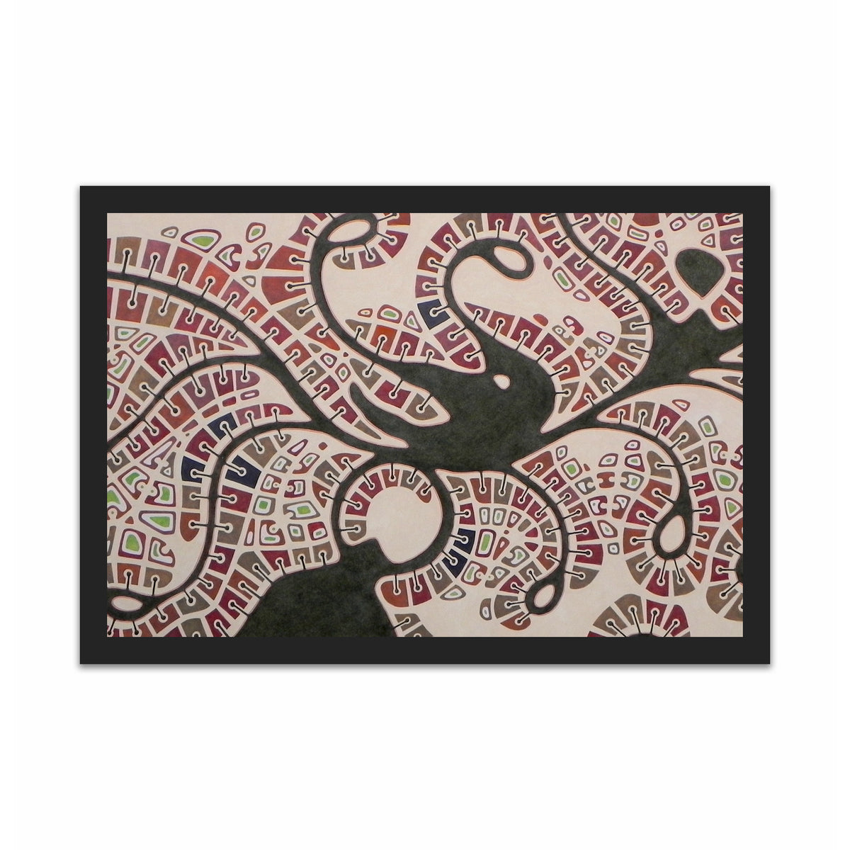 Kansas City / Medusa USEUM Store