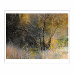Load image into Gallery viewer, Light Behind Trees