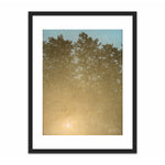 Load image into Gallery viewer, Sunset. Fontainebleau