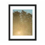 Load image into Gallery viewer, Sunset. Fontainebleau