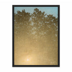 Load image into Gallery viewer, Sunset. Fontainebleau