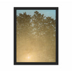 Load image into Gallery viewer, Sunset. Fontainebleau
