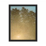 Load image into Gallery viewer, Sunset. Fontainebleau