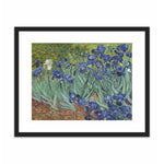 Load image into Gallery viewer, Irises