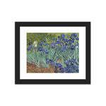 Load image into Gallery viewer, Irises