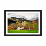 Load image into Gallery viewer, Velouxi