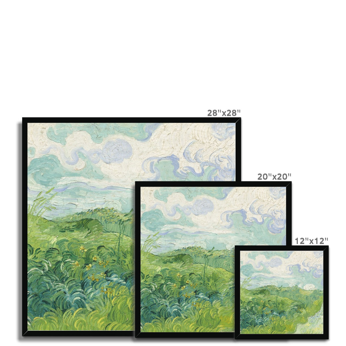 Evergreen Framed Print