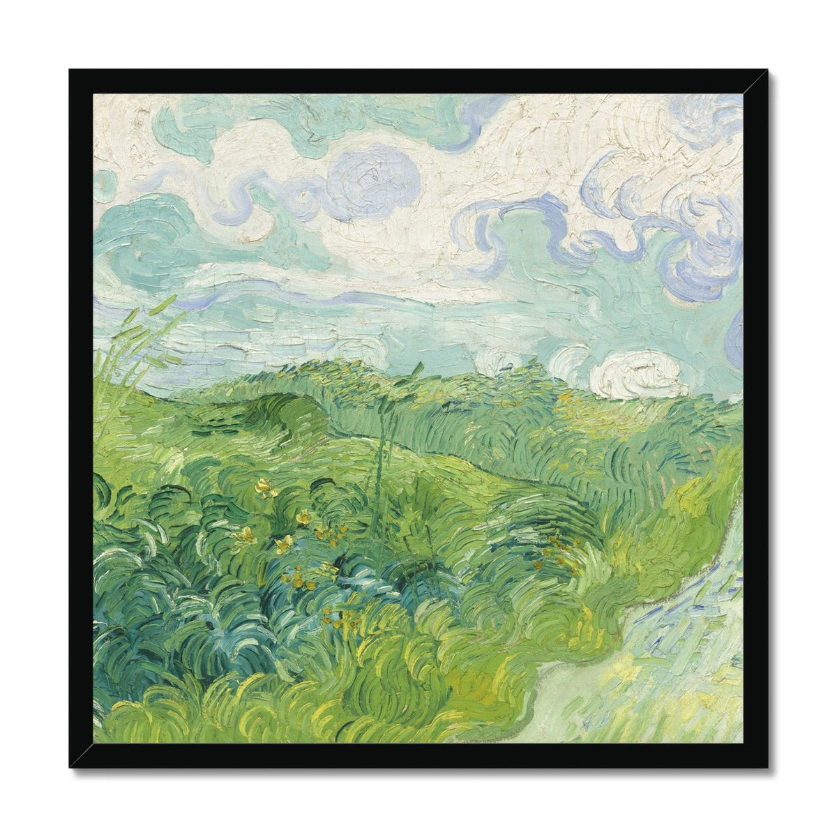 Evergreen Framed Print