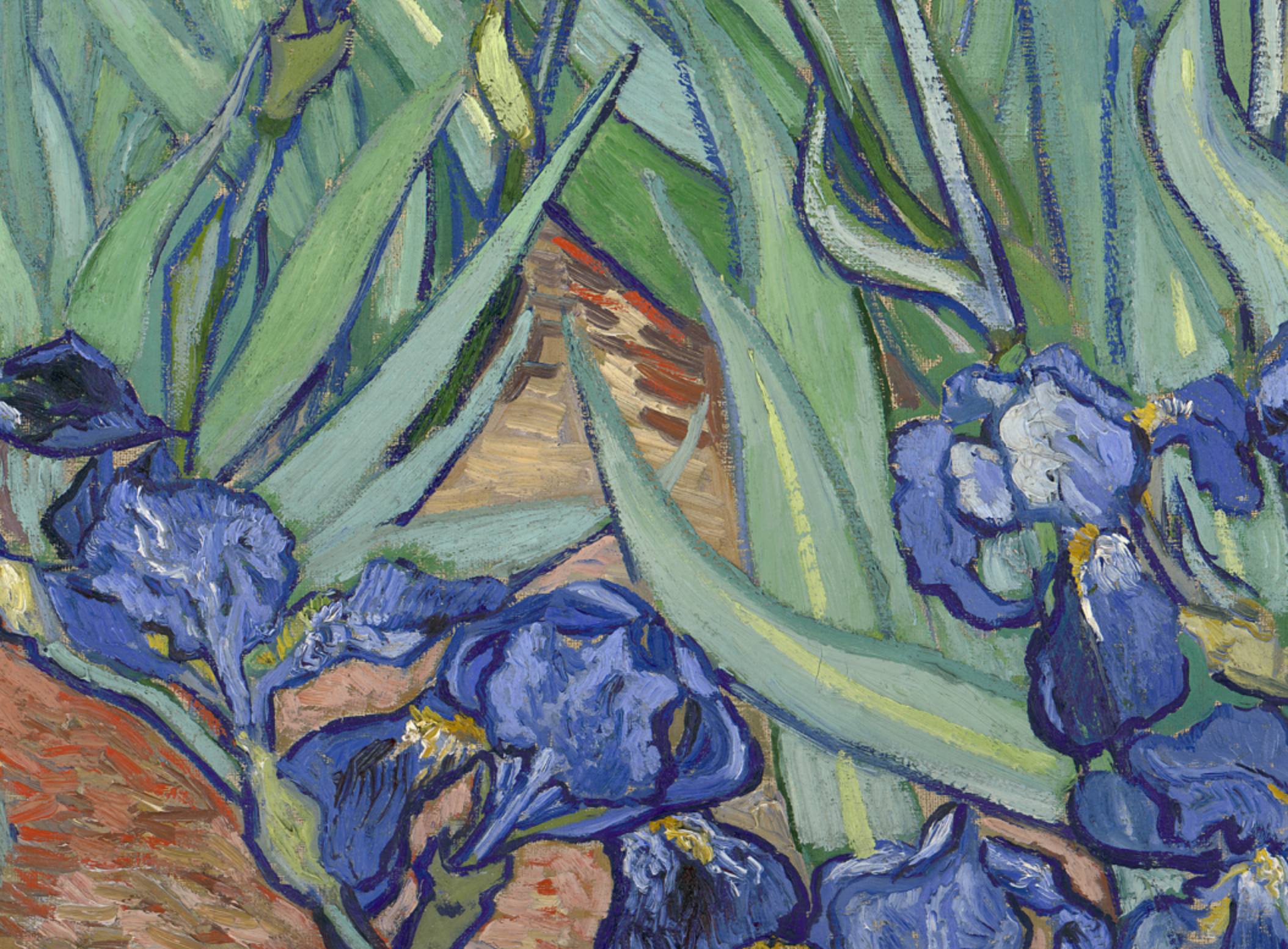 Vincent Van Gogh "Irises" Fine Art Print