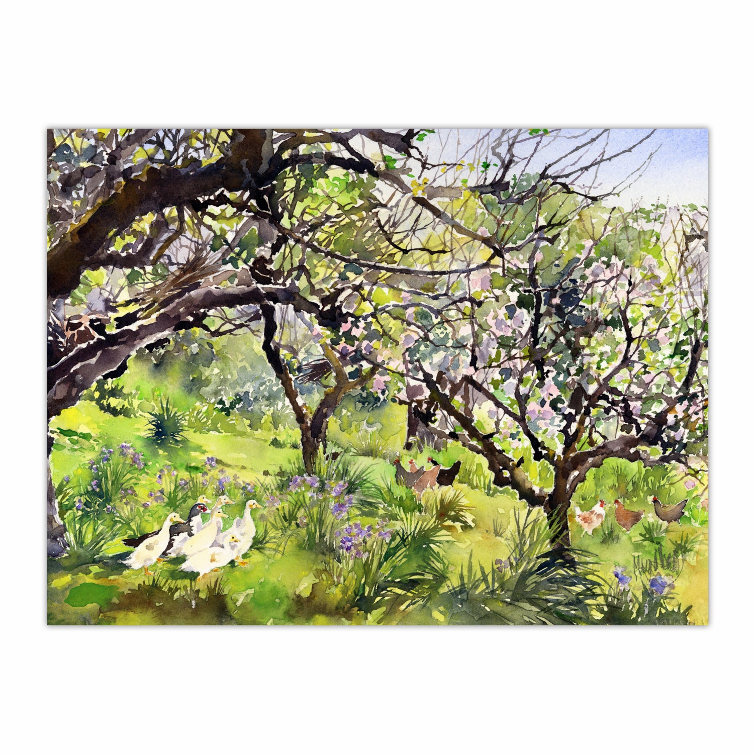 A Cornish Orchard in Spring