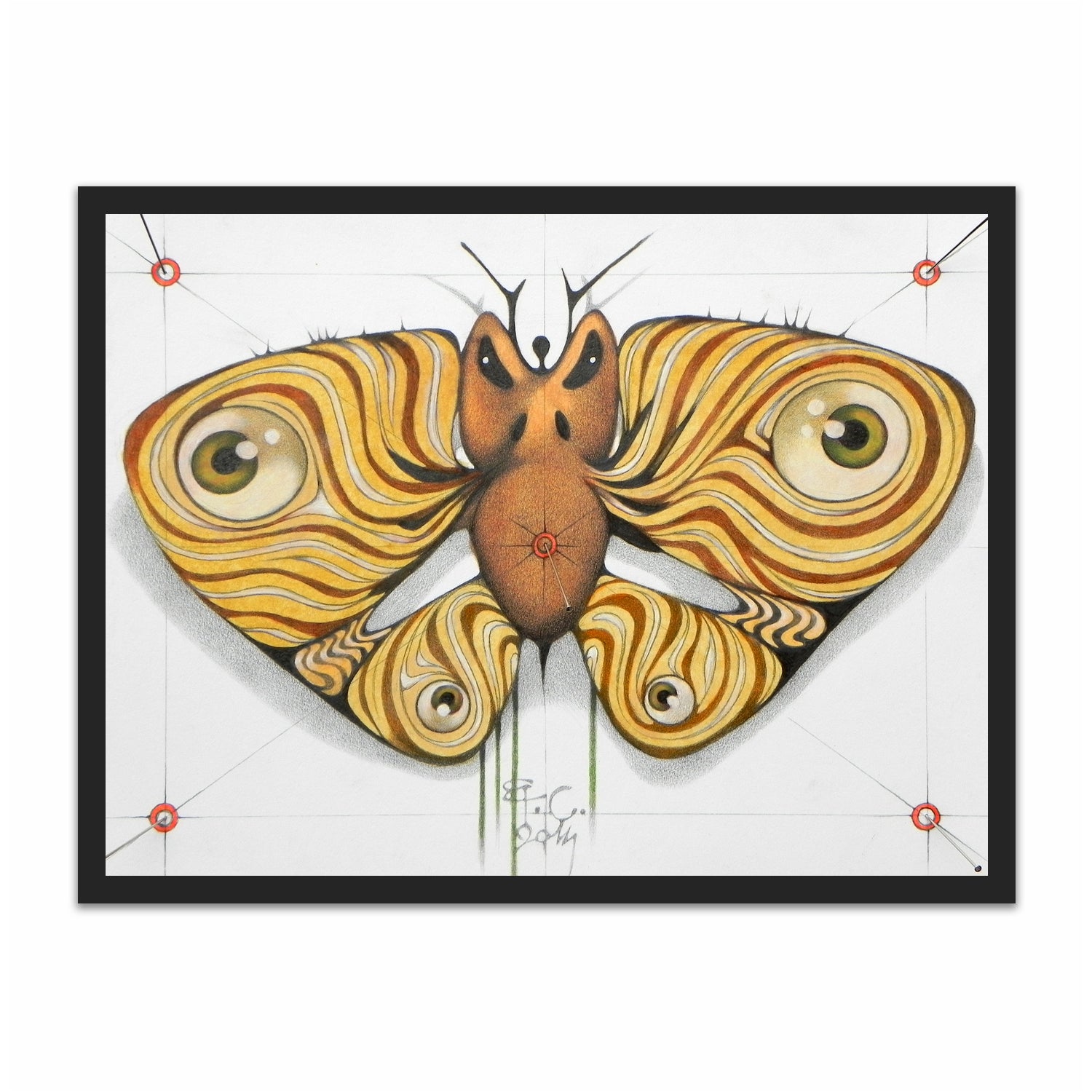 angry moth