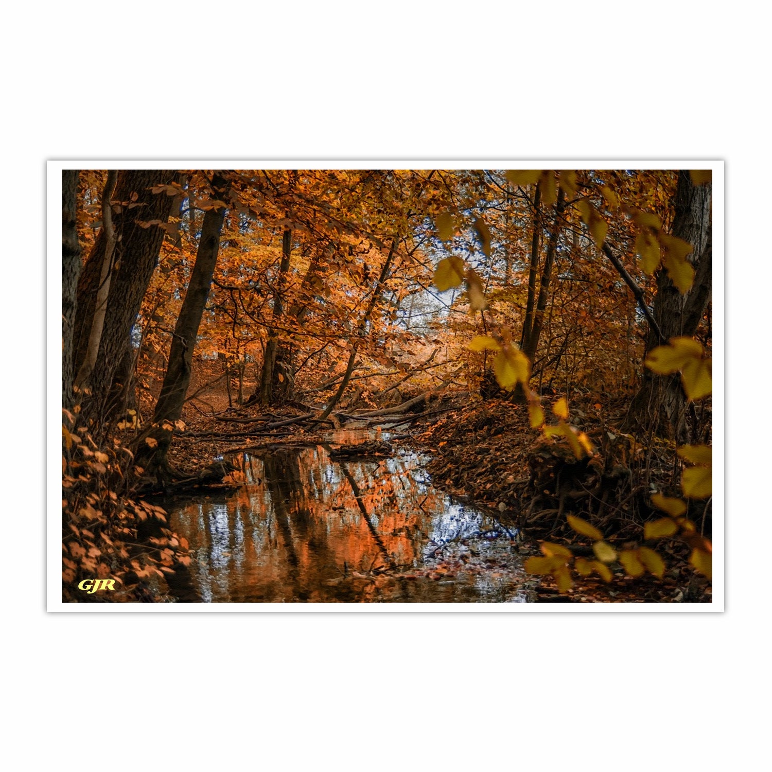 Autumn Scene Near Ransomhurst