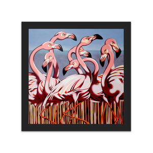 Flamingos