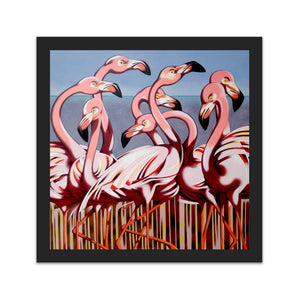 Flamingos