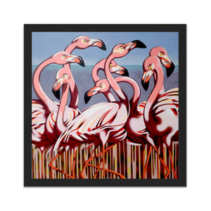 Flamingos