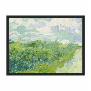 Green Wheat Fields, Auvers