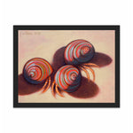 Load image into Gallery viewer, Hermit crabs on the shore

