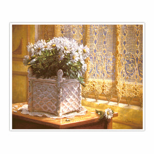 Bouquet de marguerites / Bouquet of daisies