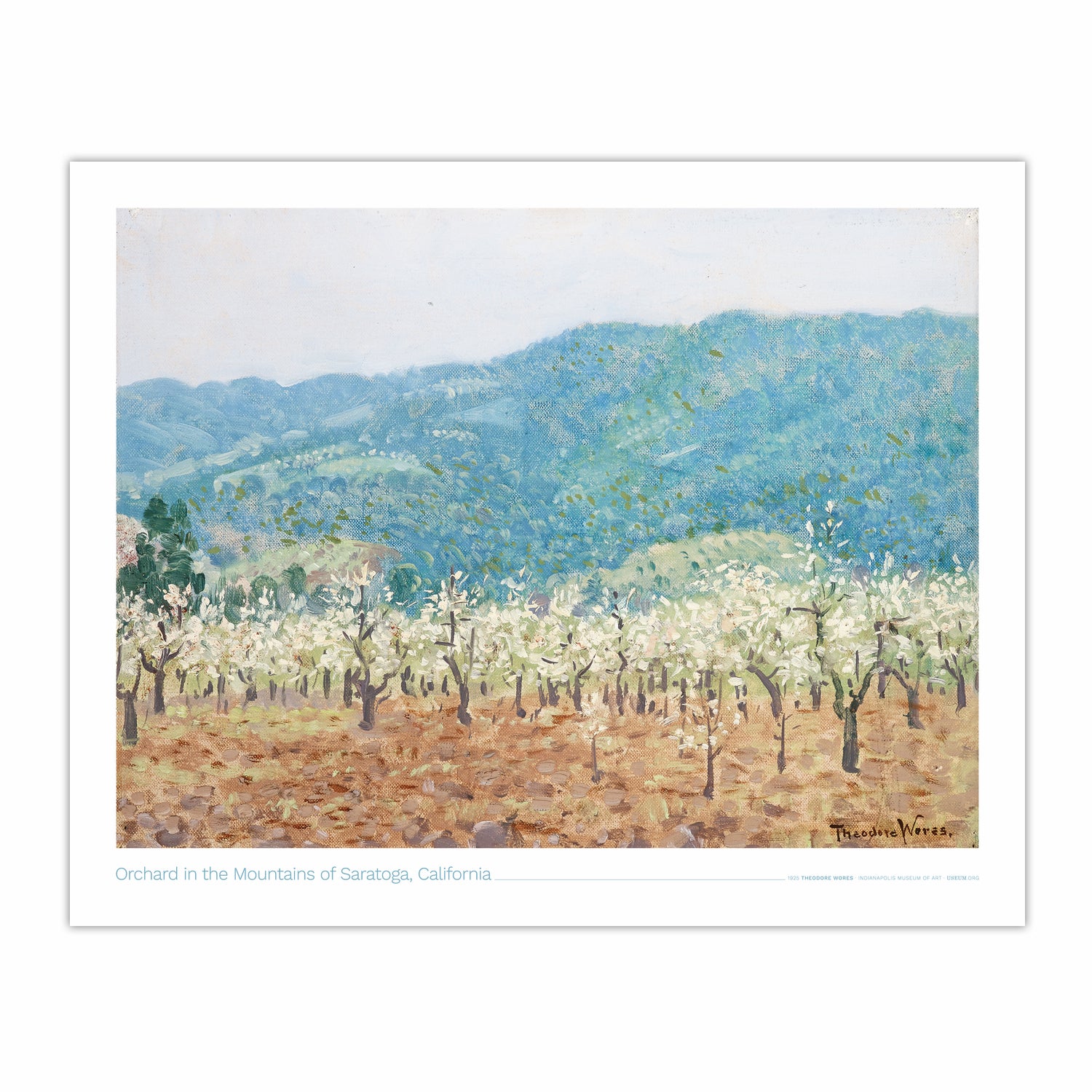 Orchard in the Mountains of Saratoga, California